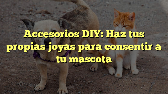 Accesorios DIY: Haz tus propias joyas para consentir a tu mascota