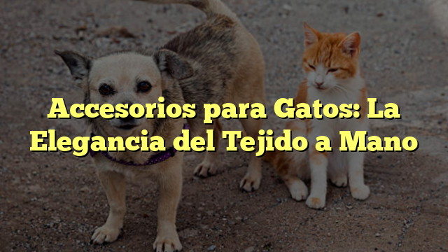 Accesorios para Gatos: La Elegancia del Tejido a Mano