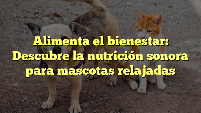 Alimenta el bienestar: Descubre la nutrición sonora para mascotas relajadas