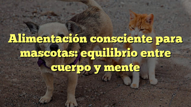 Alimentación consciente para mascotas: equilibrio entre cuerpo y mente