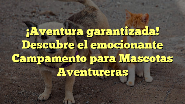 ¡Aventura garantizada! Descubre el emocionante Campamento para Mascotas Aventureras