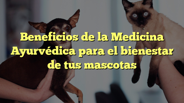 Beneficios de la Medicina Ayurvédica para el bienestar de tus mascotas