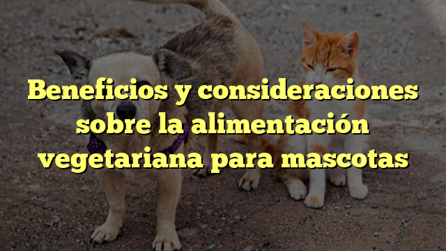 Beneficios y consideraciones sobre la alimentación vegetariana para mascotas