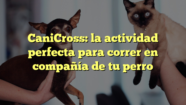 CaniCross: la actividad perfecta para correr en compañía de tu perro