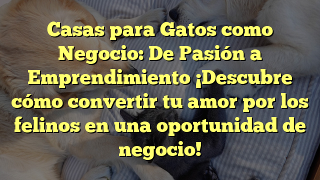 Casas para Gatos como Negocio: De Pasión a Emprendimiento ¡Descubre cómo convertir tu amor por los felinos en una oportunidad de negocio!