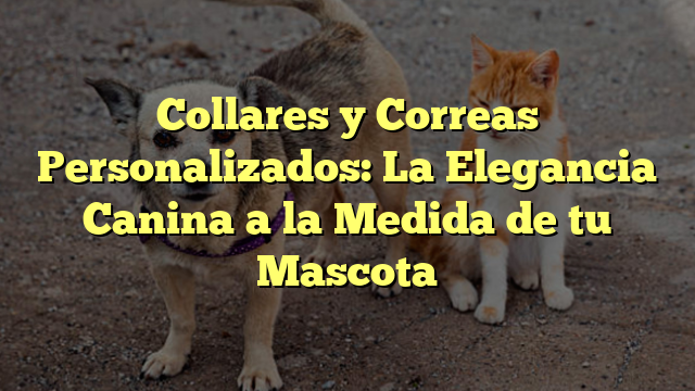 Collares y Correas Personalizados: La Elegancia Canina a la Medida de tu Mascota