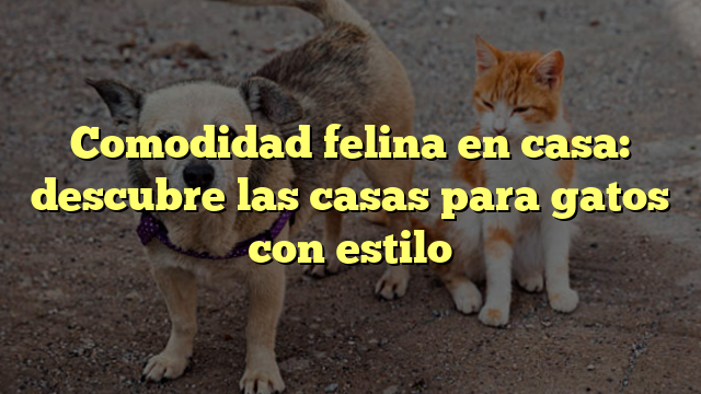 Comodidad felina en casa: descubre las casas para gatos con estilo