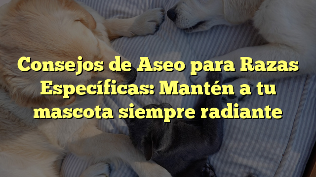 Consejos de Aseo para Razas Específicas: Mantén a tu mascota siempre radiante