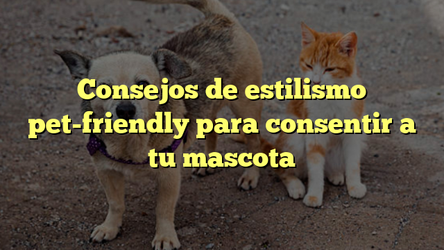 Consejos de estilismo pet-friendly para consentir a tu mascota