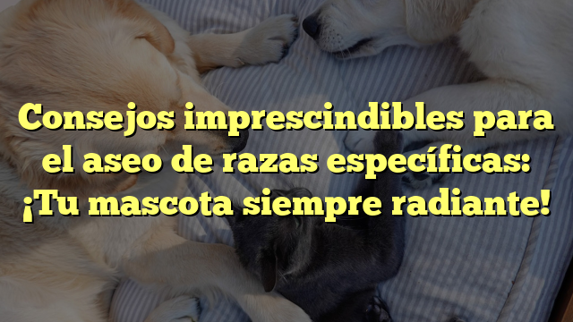 Consejos imprescindibles para el aseo de razas específicas: ¡Tu mascota siempre radiante!