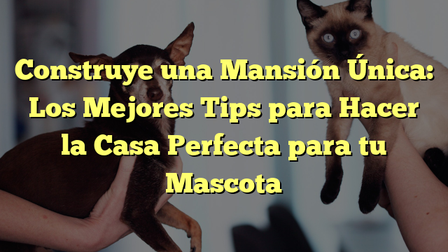 Construye una Mansión Única: Los Mejores Tips para Hacer la Casa Perfecta para tu Mascota