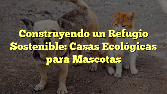Construyendo un Refugio Sostenible: Casas Ecológicas para Mascotas