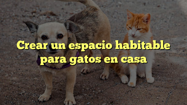 Crear un espacio habitable para gatos en casa
