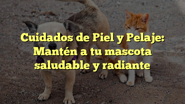 Cuidados de Piel y Pelaje: Mantén a tu mascota saludable y radiante