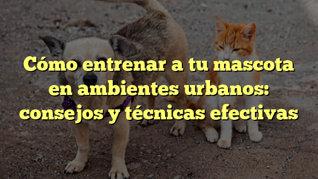 Cómo entrenar a tu mascota en ambientes urbanos: consejos y técnicas efectivas