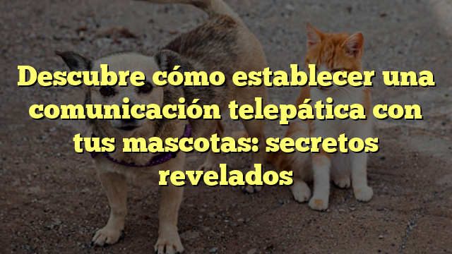 Descubre cómo establecer una comunicación telepática con tus mascotas: secretos revelados