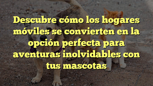 Descubre cómo los hogares móviles se convierten en la opción perfecta para aventuras inolvidables con tus mascotas