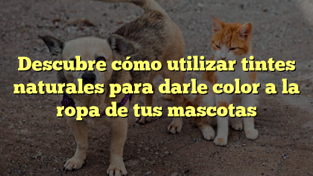 Descubre cómo utilizar tintes naturales para darle color a la ropa de tus mascotas