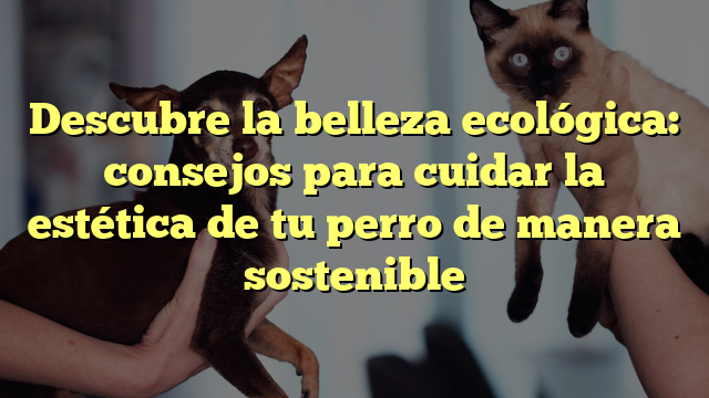 Descubre la belleza ecológica: consejos para cuidar la estética de tu perro de manera sostenible
