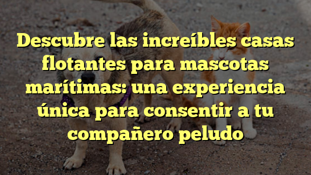 Descubre las increíbles casas flotantes para mascotas marítimas: una experiencia única para consentir a tu compañero peludo