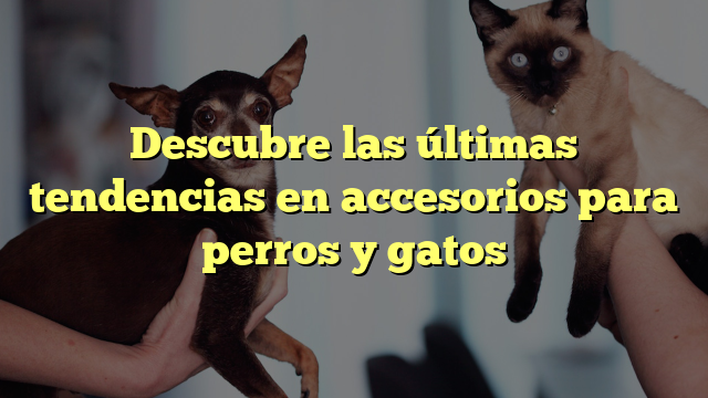Descubre las últimas tendencias en accesorios para perros y gatos