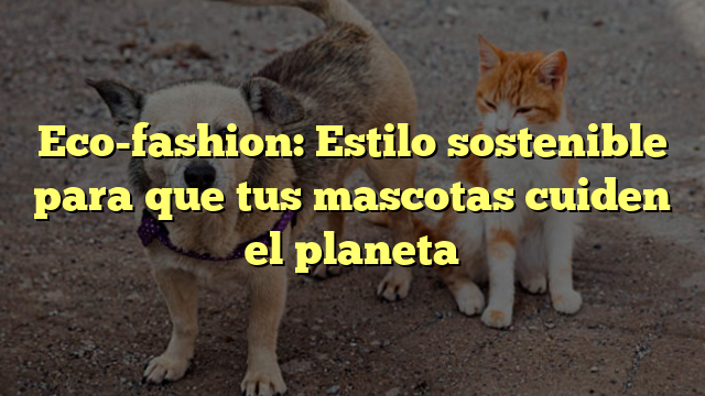 Eco-fashion: Estilo sostenible para que tus mascotas cuiden el planeta
