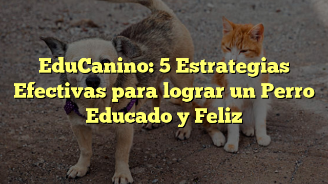 EduCanino: 5 Estrategias Efectivas para lograr un Perro Educado y Feliz