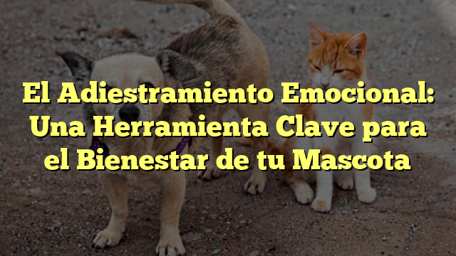 El Adiestramiento Emocional: Una Herramienta Clave para el Bienestar de tu Mascota