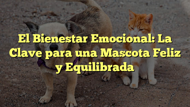 El Bienestar Emocional: La Clave para una Mascota Feliz y Equilibrada