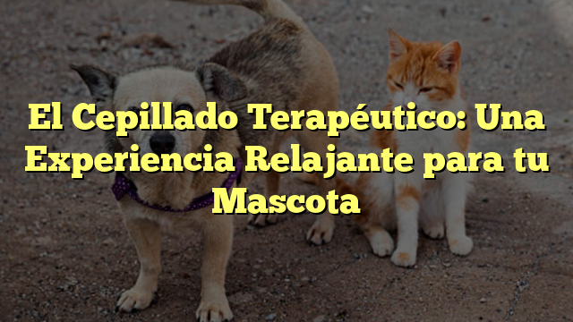 El Cepillado Terapéutico: Una Experiencia Relajante para tu Mascota