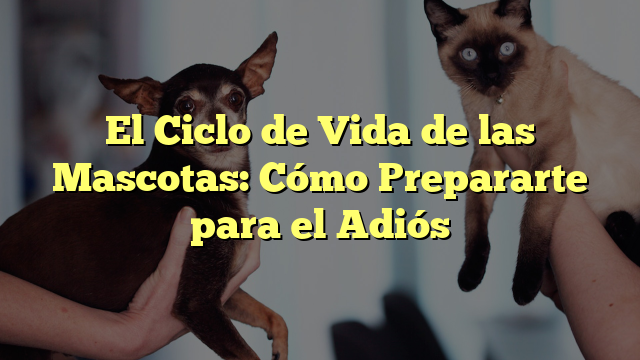 El Ciclo de Vida de las Mascotas: Cómo Prepararte para el Adiós