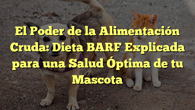 El Poder de la Alimentación Cruda: Dieta BARF Explicada para una Salud Óptima de tu Mascota