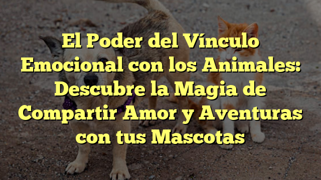 El Poder del Vínculo Emocional con los Animales: Descubre la Magia de Compartir Amor y Aventuras con tus Mascotas
