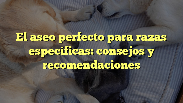 El aseo perfecto para razas específicas: consejos y recomendaciones