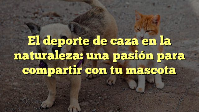 El deporte de caza en la naturaleza: una pasión para compartir con tu mascota