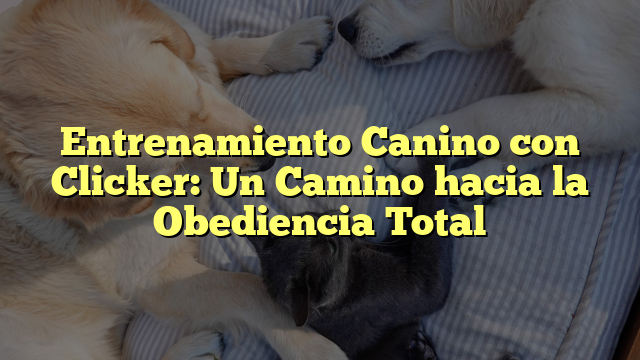 Entrenamiento Canino con Clicker: Un Camino hacia la Obediencia Total
