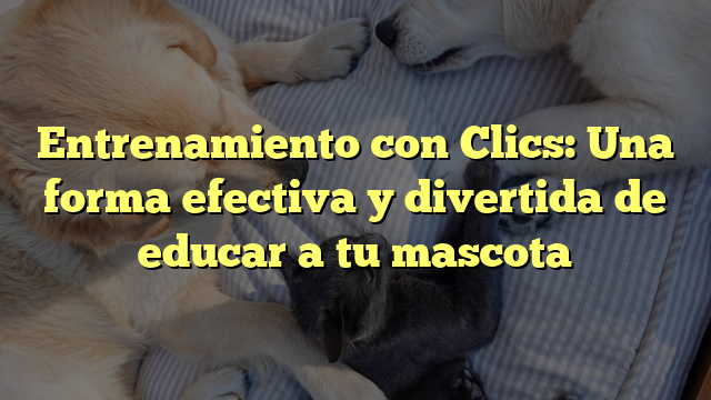Entrenamiento con Clics: Una forma efectiva y divertida de educar a tu mascota