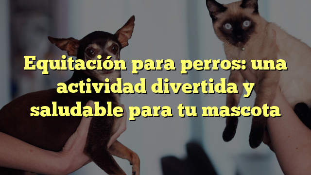 Equitación para perros: una actividad divertida y saludable para tu mascota