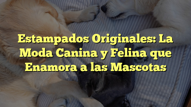 Estampados Originales: La Moda Canina y Felina que Enamora a las Mascotas