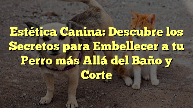 Estética Canina: Descubre los Secretos para Embellecer a tu Perro más Allá del Baño y Corte
