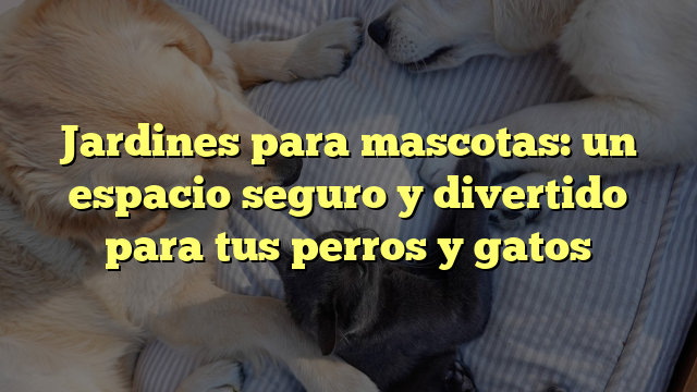 Jardines para mascotas: un espacio seguro y divertido para tus perros y gatos