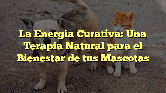 La Energía Curativa: Una Terapia Natural para el Bienestar de tus Mascotas