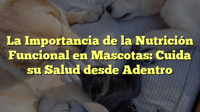 La Importancia de la Nutrición Funcional en Mascotas: Cuida su Salud desde Adentro