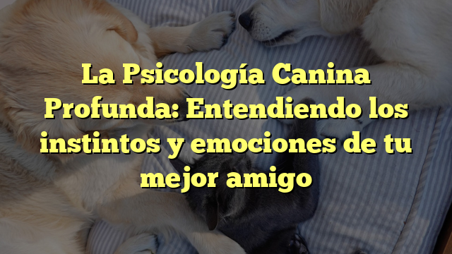 La Psicología Canina Profunda: Entendiendo los instintos y emociones de tu mejor amigo