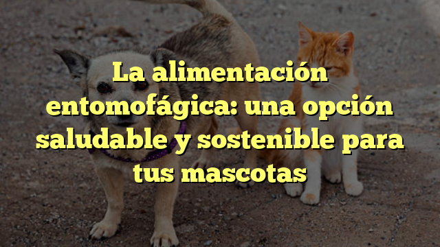 La alimentación entomofágica: una opción saludable y sostenible para tus mascotas
