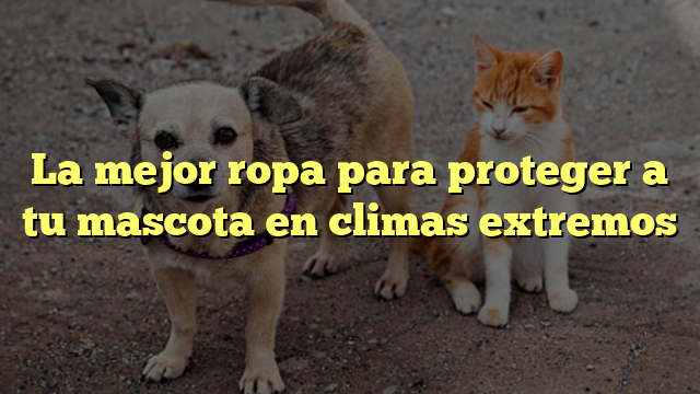 La mejor ropa para proteger a tu mascota en climas extremos