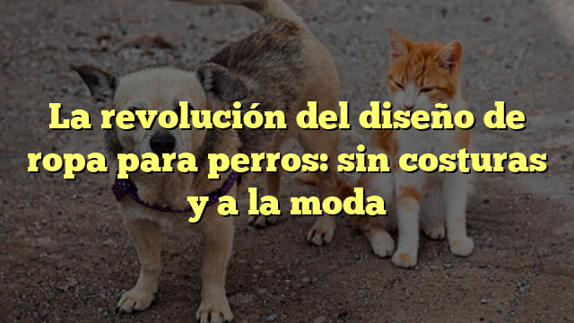 La revolución del diseño de ropa para perros: sin costuras y a la moda