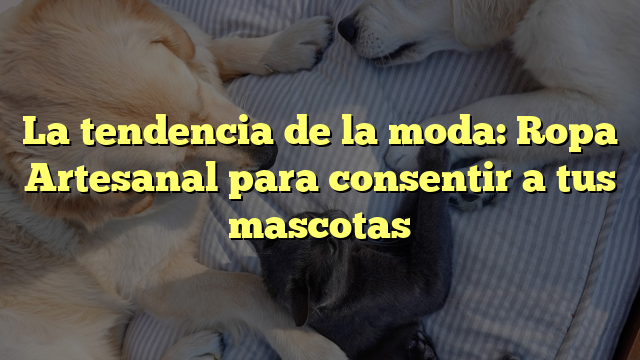 La tendencia de la moda: Ropa Artesanal para consentir a tus mascotas