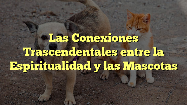 Las Conexiones Trascendentales entre la Espiritualidad y las Mascotas