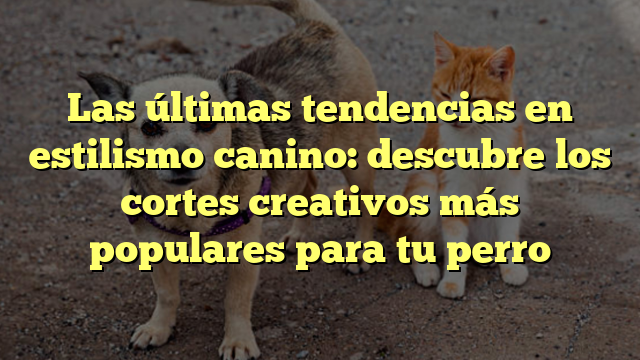 Las últimas tendencias en estilismo canino: descubre los cortes creativos más populares para tu perro